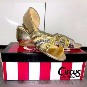 Sam Edelman sz 8 sandals flats, gold and silver metallic, lightly worn